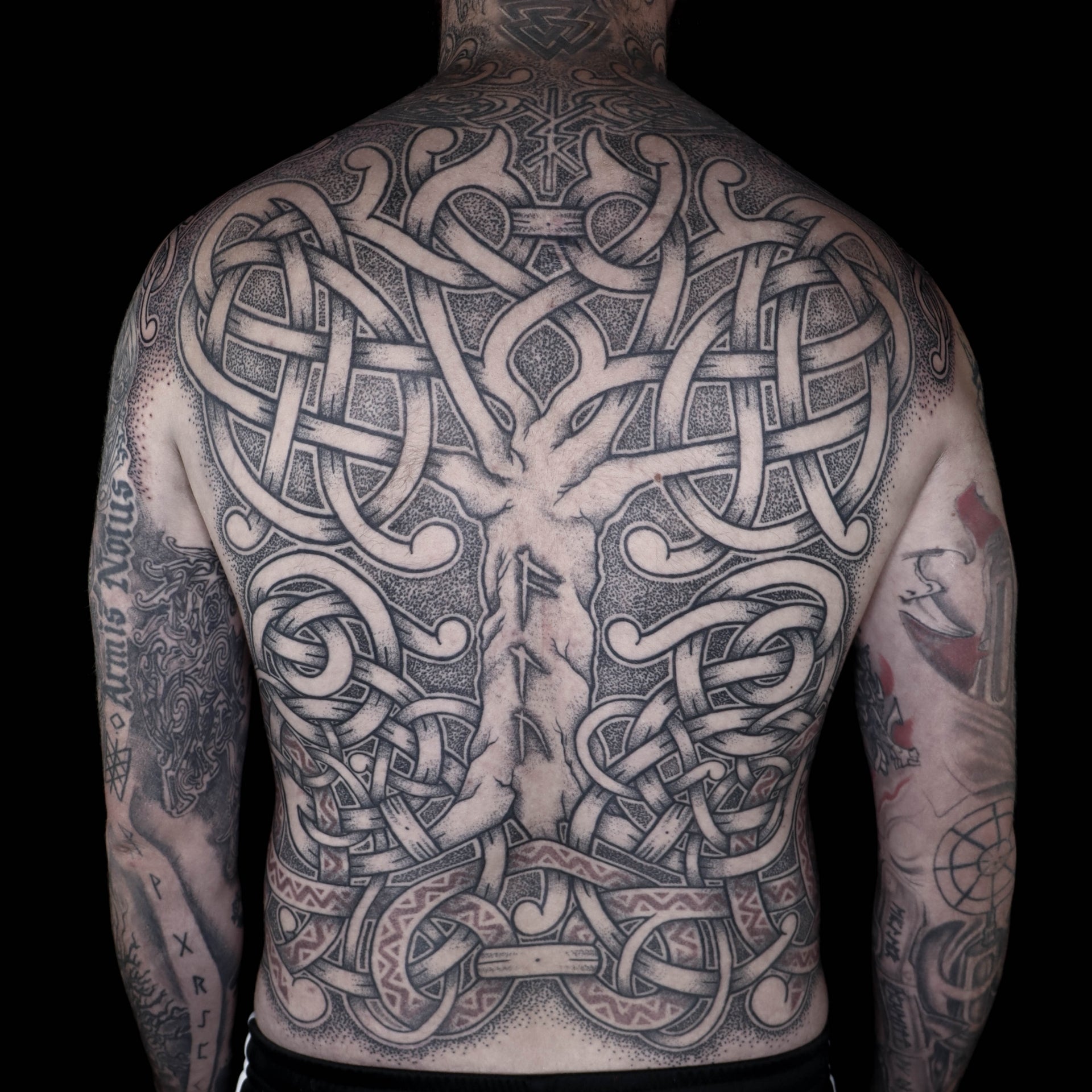 Norse backpiece tattoo of Yggdrasil with Younger Futhark runes on the trunk and Nidhogg in the roots, composed in interlaced knotwork with red ornamental details