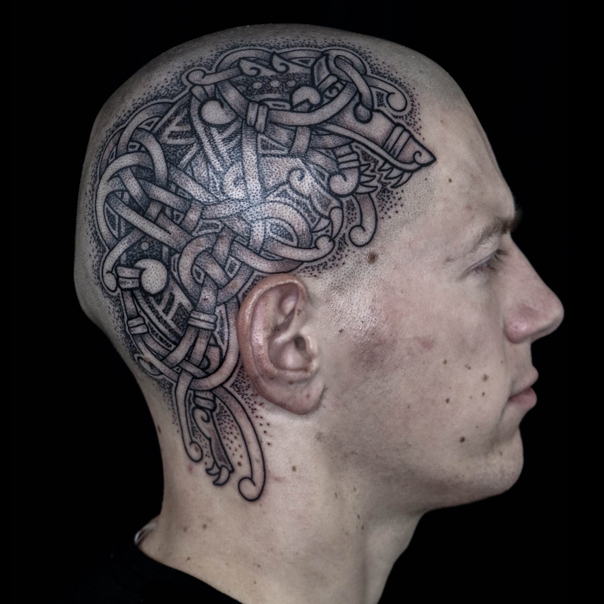 Viking head tattoo depicting Fenrir composed in intricate knotwork with detailed blackwork shading